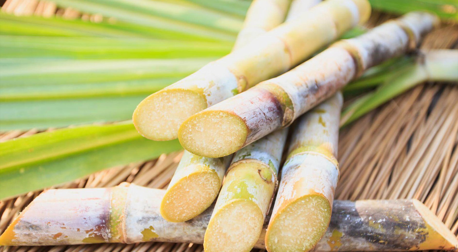 Noon Sugar Mills Ltd.